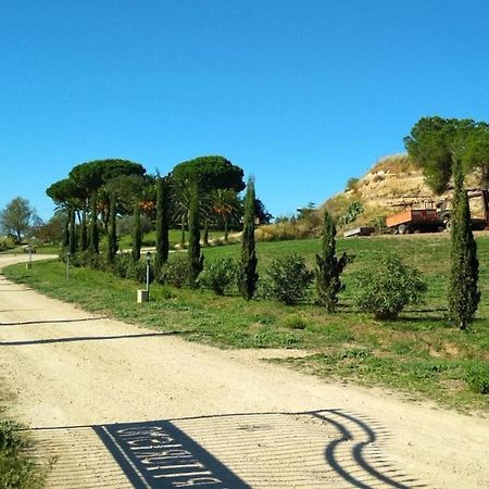 Agriturismo Il Poderino Villa Tarquinia Esterno foto