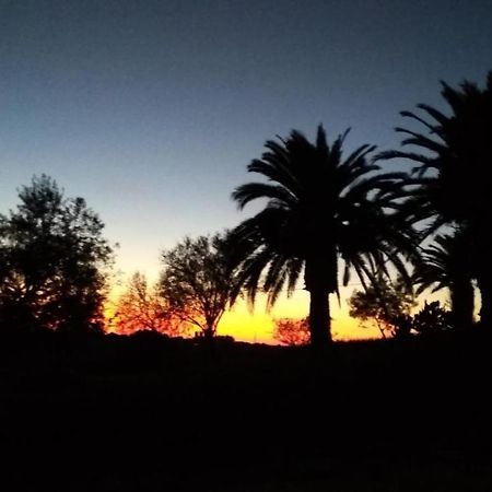 Agriturismo Il Poderino Villa Tarquinia Esterno foto