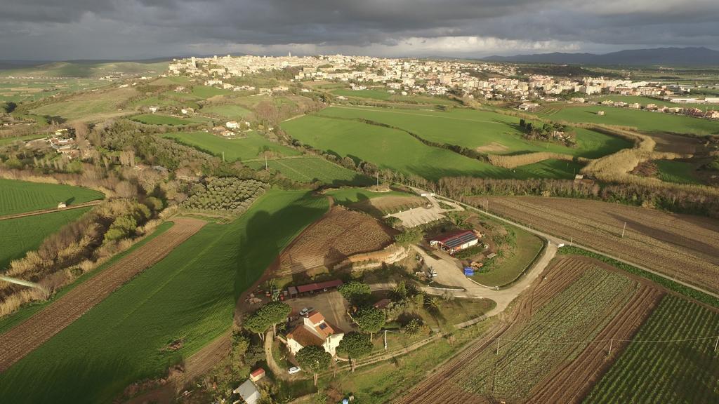 Agriturismo Il Poderino Villa Tarquinia Esterno foto