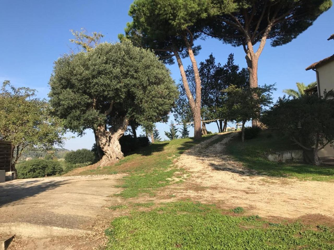 Agriturismo Il Poderino Villa Tarquinia Esterno foto