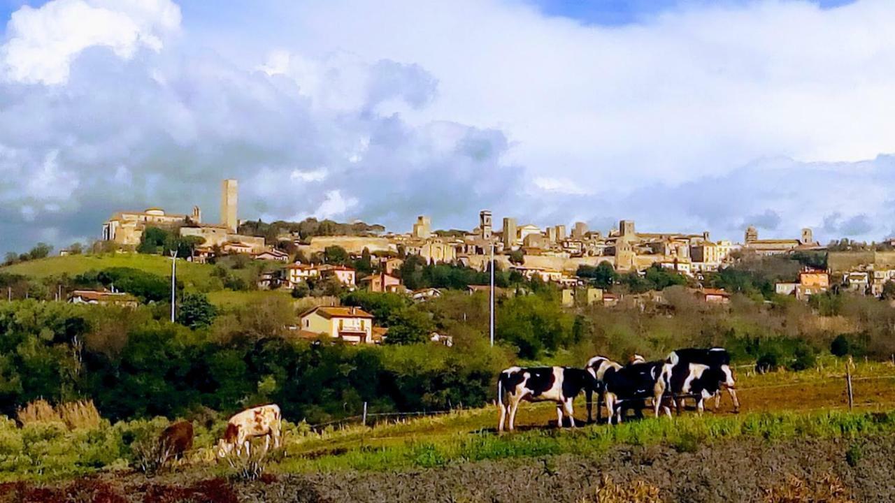 Agriturismo Il Poderino Villa Tarquinia Esterno foto